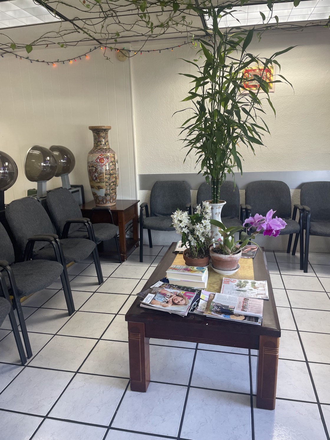 The salon’s waiting area with cushioned chairs, potted plants and warm string lights