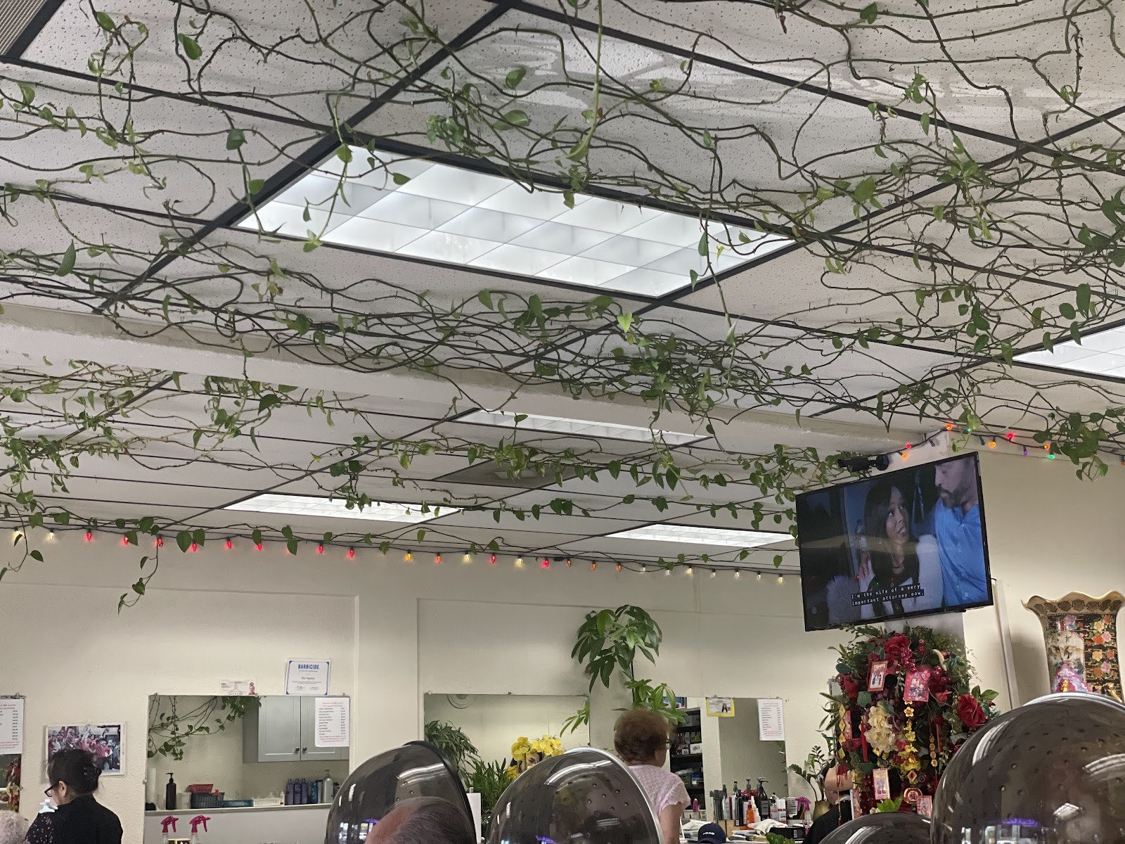 Trailing vines and string lights draped across the salon ceiling