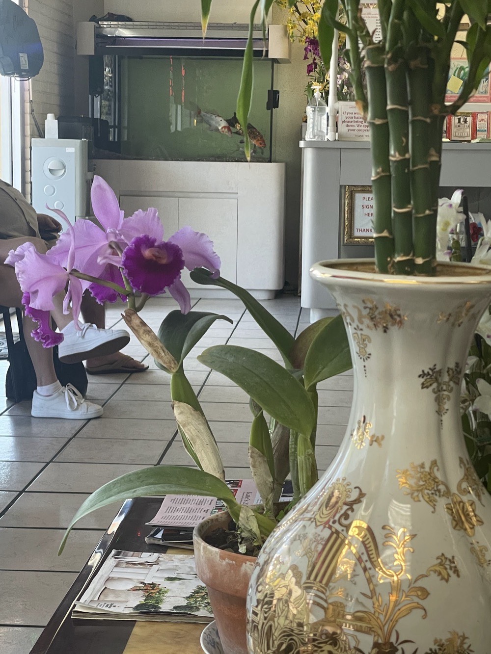 Purple orchids blooming beside the salon’s fish tank